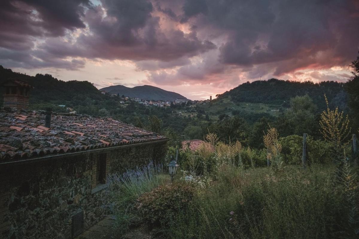 Borgo Del Sole Agriturismo Poggio  Exterior foto